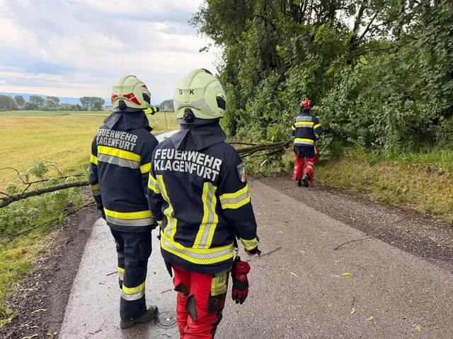 Foto: Feuerwehr Viktring - Stein/Neudorf