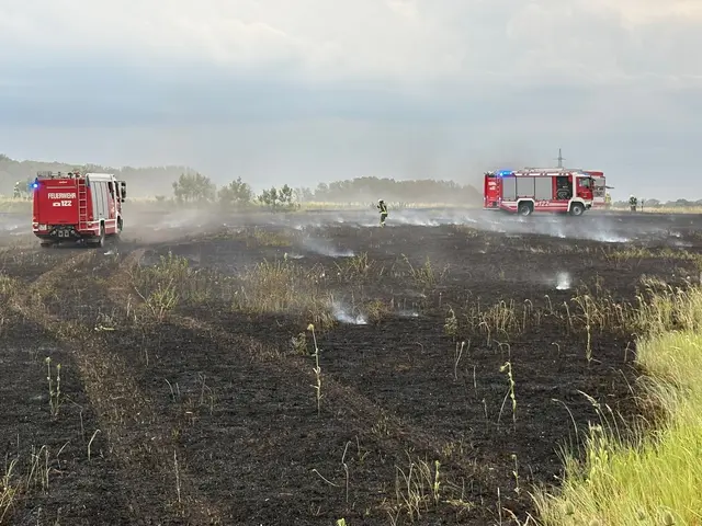 Foto: FF Gänserndorf