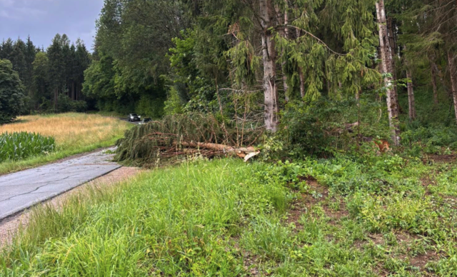 Foto: Freiwillige Feuerwehr Hörzendorf Projern