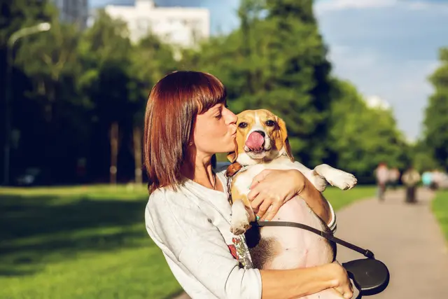Wer erstmals bestimmte Tiere halten möchte, muss künftig vor der Anschaffung einen verpflichtenden Sachkundekurs absolvieren. | Foto: unsplash