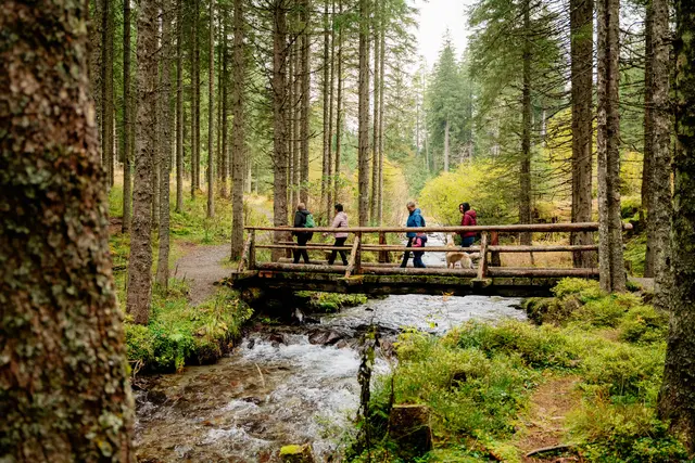 Vom Hochschwung über den Naturerlebnispfad Obdach bis zu den Winterleitenseen: Das Murtal bietet abwechslungsreiche Wanderungen für Genießer und Gipfelstürmer.