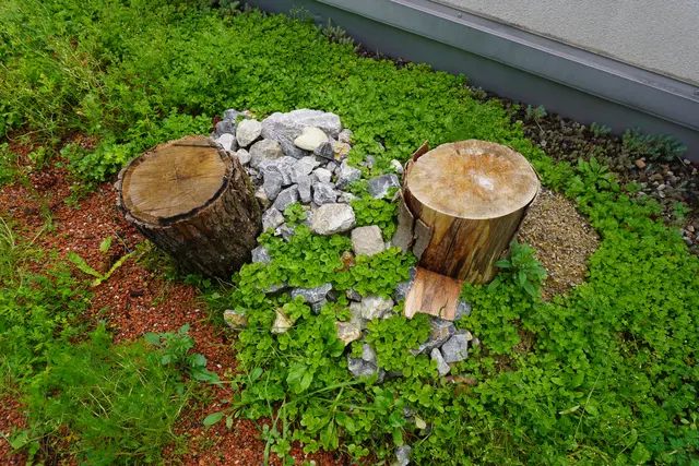 Totoholz für Insekten.