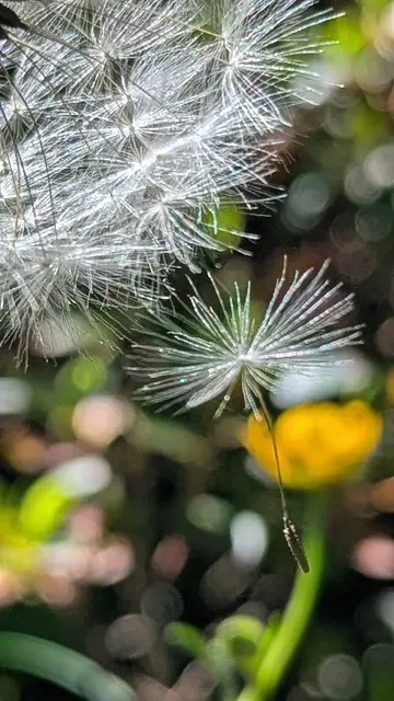 #einfachNURsein

... und die Aufmerksamkeit auf die schönen Momente lenken 🫶🏻