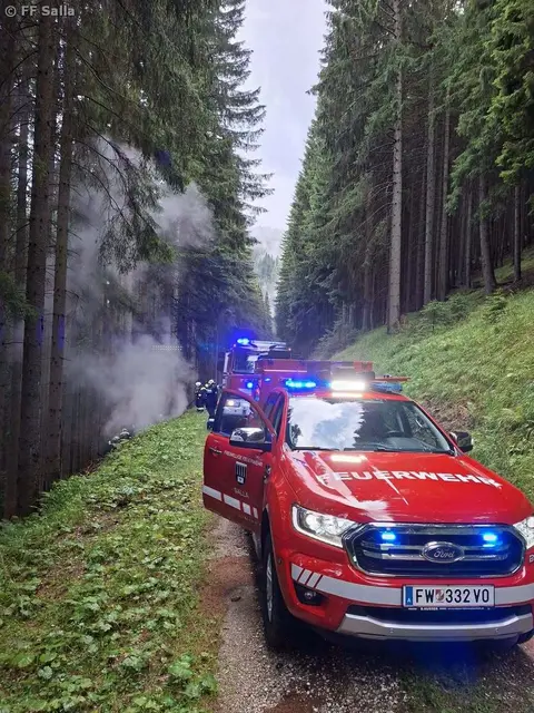 Die FF Salla konnte im Farbenwald einen größeren Waldbrand verhindern. | Foto: BFVVO/FF Salla