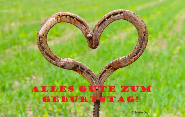 Alles Gute zum Geburtstag. | Foto: Marie Ott