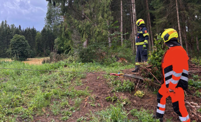 Foto: Freiwillige Feuerwehr Hörzendorf Projern