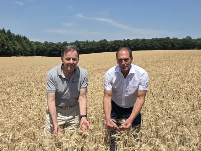 LK Burgenland-Präsident und Vizepräsident des EU-Bauernverbands (COPA), Nikolaus Berlakovich (links) und LK Österreich-Präsident Josef Moosbrugger (rechts) heute bei der Erntepressefahrt in einem Weizenfeld im burgenländischen Deutschkreutz. | Foto: LKÖ/Jung-Leithner