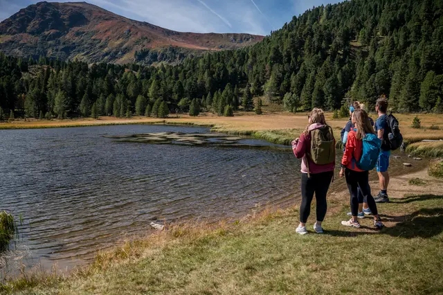 Zwischen stillen Seen, bunten Auwäldern und weiten Ausblicken zeigt sich die Erlebnisregion Murtal beim Zirbenherbst von ihrer genussvollsten Seite.