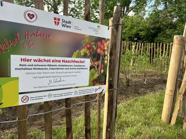 Gemeinsam mit dem Ökosozialen Forum und den Wiener Stadtgärten hat die Bezirksvorstehung Penzing Naschhecken in Parks gepflanzt.  | Foto: BV14
