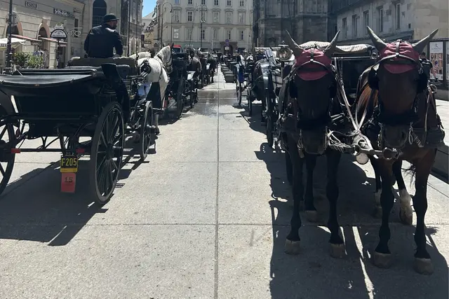 Der ÖTV dokumentierte einige Kutscher, die laut eigenen Beobachtungen unter Sonnenschirmen Schutz gefunden, während die Pferde eingespannt auf die Fahrgäste gewartet haben.  | Foto: ÖTV