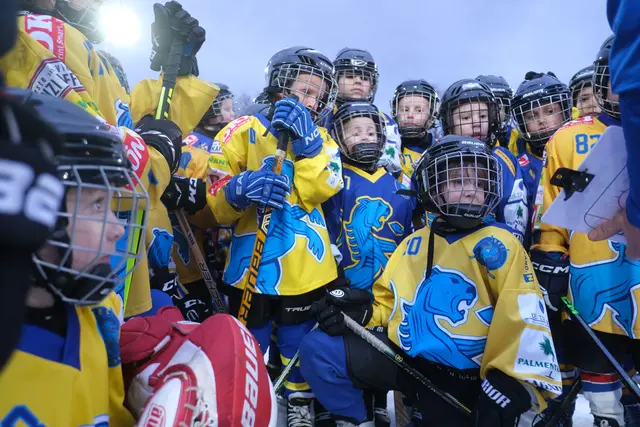 Die Dragons trainieren ab September in Bruck an der Leitha. | Foto: Stefan Gergerly