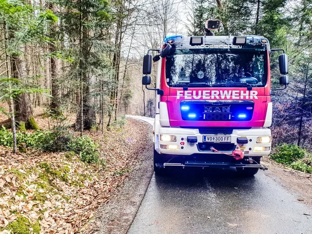 Immer wieder sind Feuerwehreinsätze in den Wäldern notwendig. | Foto: FF Ligist
