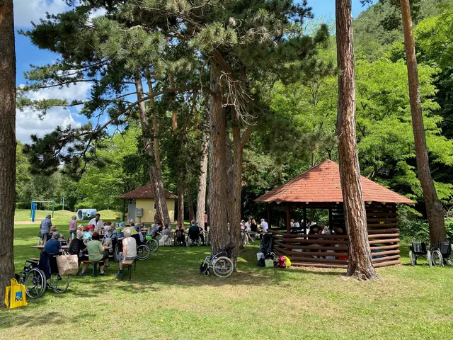 Schattige Bäume, entspannte Atmosphäre beim Rollstuhlausflug nach Gleißenfeld. | Foto: PBZ Scheiblingkirchen