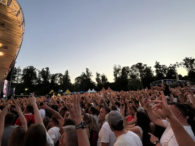 Tausende Fans im Schlosspark Eisenstadt | Foto: MeinBezirk/Barbara Babonitsch-Diewald