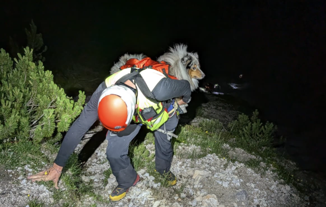 Eine 18-jährige Wanderin hat sich mit ihrem Hund am Mittagskogel verirrt. | Foto: Bergrettung Villach