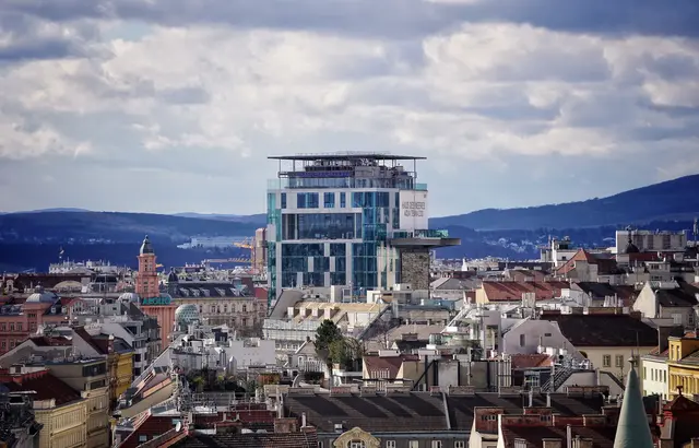 Das Haus des Meeres hat kürzlich neue Mitbewohner begrüßen dürfen.  | Foto: Jasmin Riener