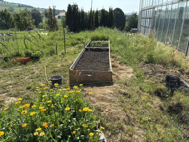 Lokalaugenschein im Flüchtlingsquartier. Die Familien haben sich bereits ein Leben aufgebaut, im Garten Kräuter und Gemüse angepflanzt. | Foto: Lauren Fahrenberger / MeinBezirk