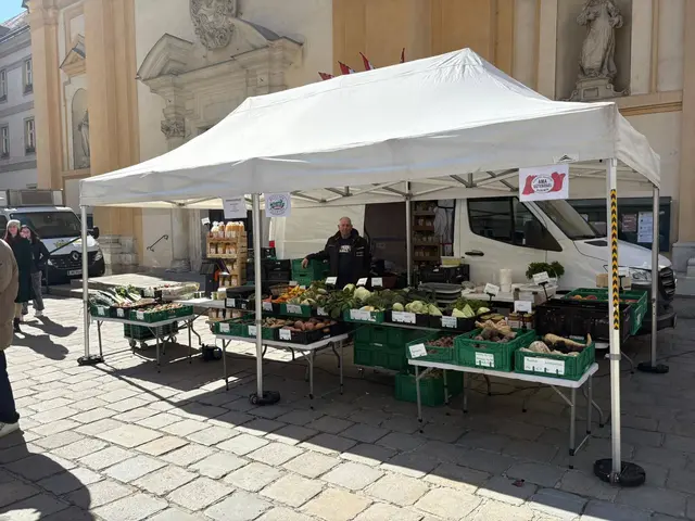 Der Servitenmarkt gilt als Bauernmarkt. Aktuell fühlen sich die Standler vor Ort durch Marktfahrer bedroht.  | Foto: z.V.g.