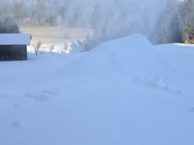 Unten aper, auf den Pisten liegt aber Schnee, dank der bestehenden Beschneiungsanlage. Die arbeitet allerdings nicht effizient. | Foto: Christoph Kerber