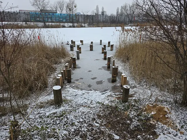 Im Winter wurden einige der Stege an der Unteren Alten Donau abmontiert. | Foto: Lukas Ipirotis/ MeinBezirk