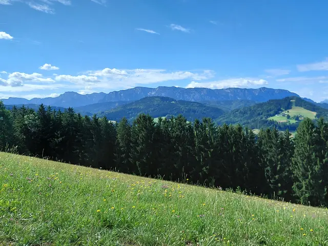 Foto: H.Bachinger