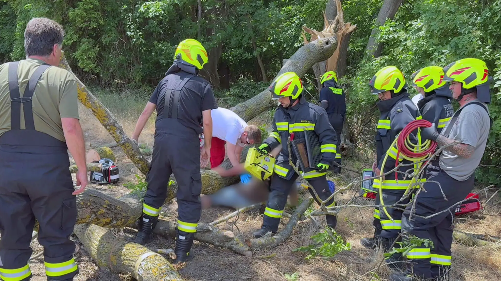 Fire brigade called out: Man trapped under tree in Tattendorf - | Baden