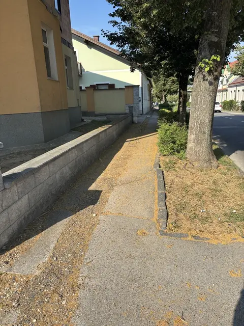 sanierungsbedürftiger Gehsteig