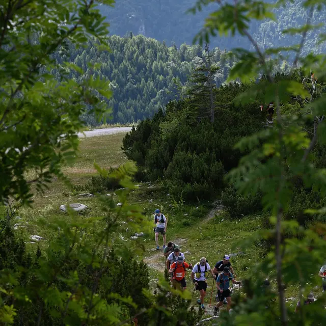 Foto: Wilfried Fischer