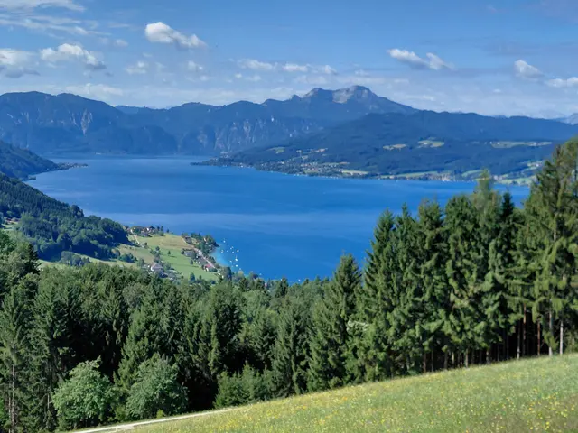 Aussicht vom Gahberg auf den Attersee  | Foto: H.Bachinger