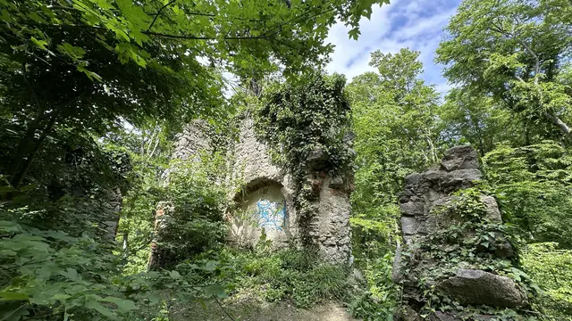 Zugewachsene Ruinen
