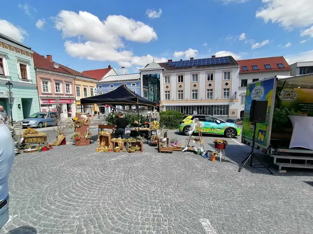 Foto: Walter Kellner