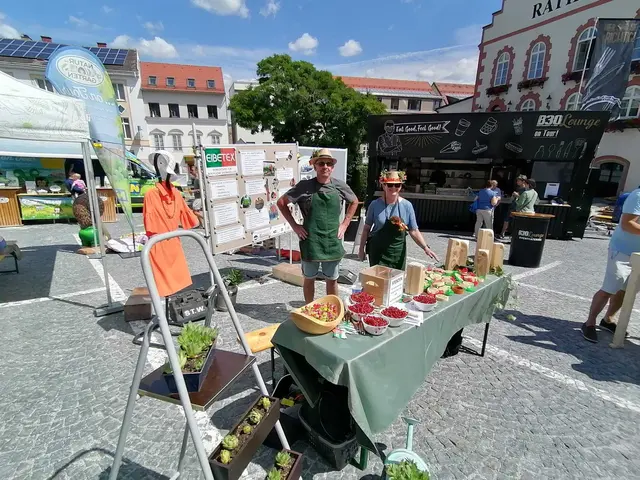 Foto: Walter Kellner