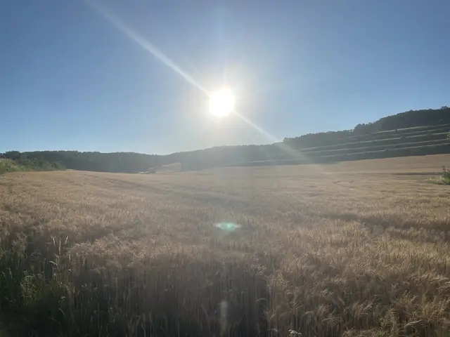 Am Nachmittag zeigt sich zwischen den Wolken wieder häufiger die Sonne. | Foto: Alexandra Goll
