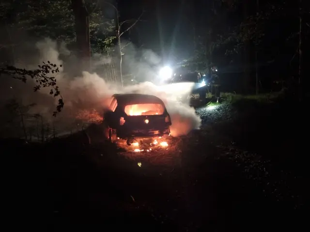 Der Wald wurde von den Flammen verschont. | Foto: FF Bad Ischl