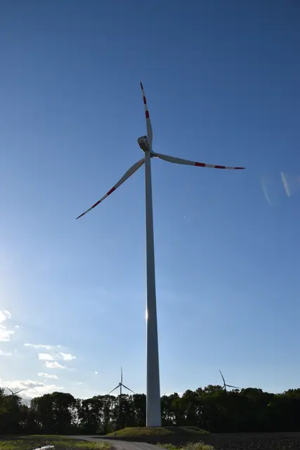 Die Ebreichsdorfer Windräder. | Foto: Mirjam Preineder