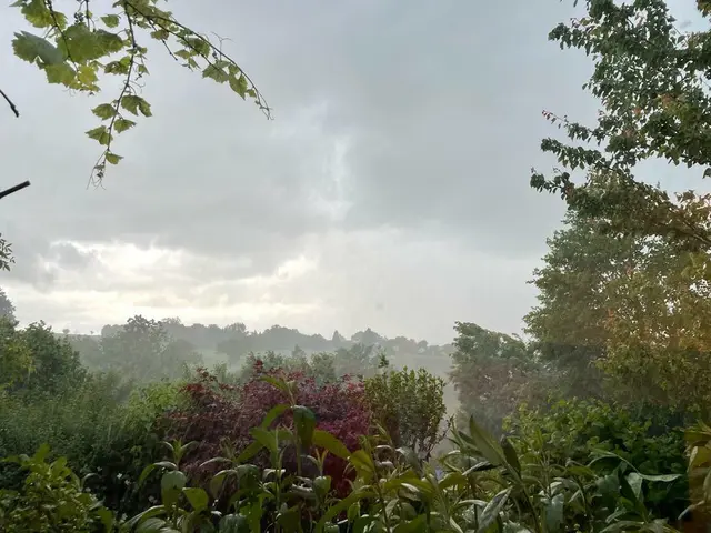 Viele Wolken und einzelne Regenschauer prägen den Wochenstart in Niederösterreich. | Foto: meinbezirk.at