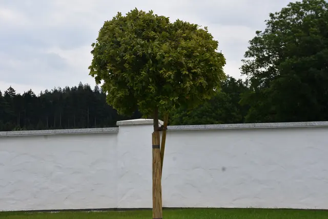 Foto: Robert Zinterhof