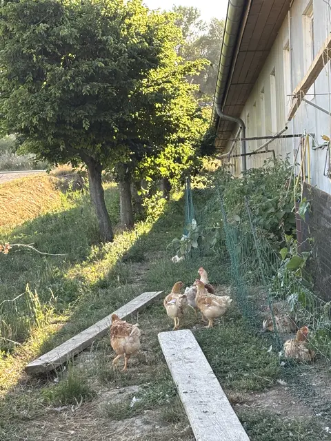Foto: Sandra Schütz