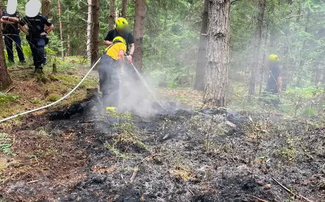 Bild vom Waldbrand in Arnoldstein. | Foto: Freiwillige Feuerwehr Arnoldstein