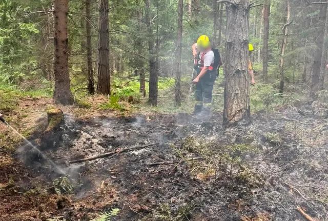 Foto: Freiwillige Feuerwehr Arnoldstein