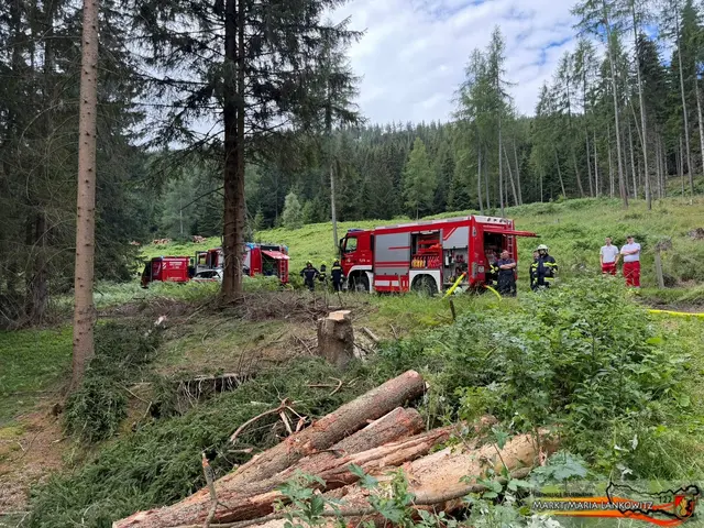 Die Feuerwehren brauchten Stunde, um den Brand endgültig zu löschen. | Foto: Dominik Kinzer/FF Maria Lankowitz