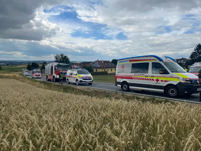 Feuerwehr, Rettung und Polizei an der Unfallstelle | Foto: FF Waidhofen/Thaya