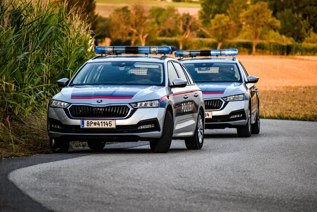 Der 23-Jährige wurde festgenommen und in die Justizanstalt Wels eingeliefert. | Foto: Team Fotokerschi/ David Rauscher