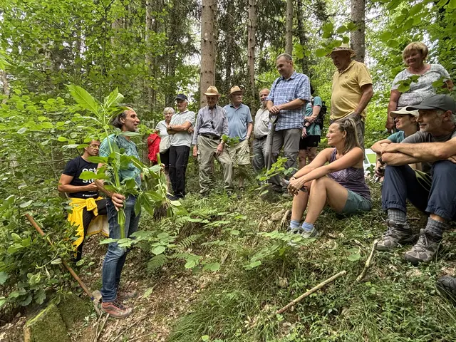 Pesonen im Wald