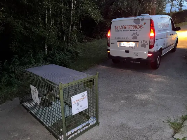 Foto: Tierschutz Initiative Innviertel