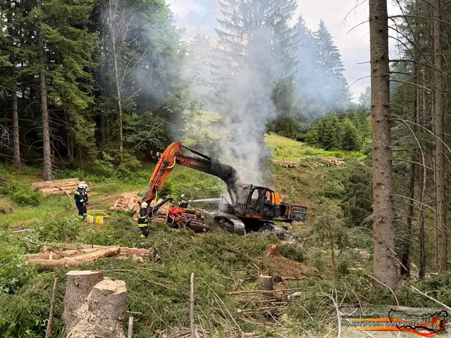 In einem Wald in Salla begann am Montag ein Bagger zu brennen. | Foto: Dominik Kinzer/FF Maria Lankowitz