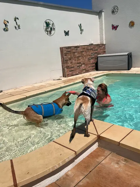 Kein Hund verlässt den Garten der Pflegestelle Fellnasen in Not, ohne Schwimmen gelernt zu haben.  | Foto: Fellnaseninnot e.V.
