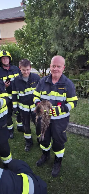 Die braven Feuerwehrleute mit der geretteten Katze. | Foto: Freiwillige Feuerwehr Enzenreith