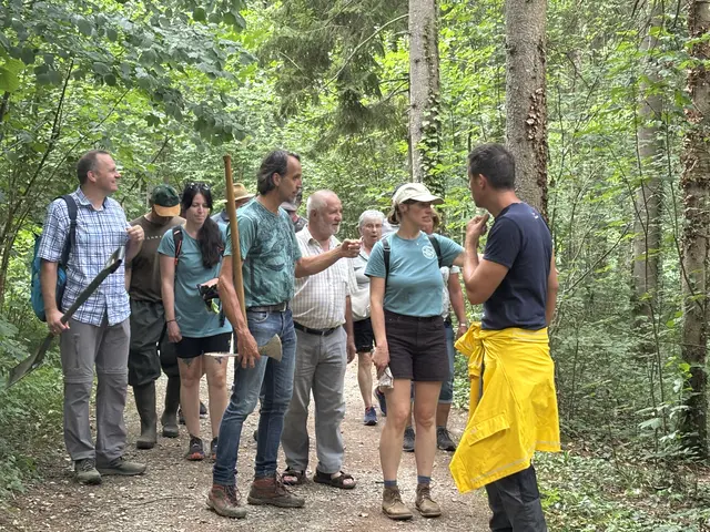 Gruppe von Personen