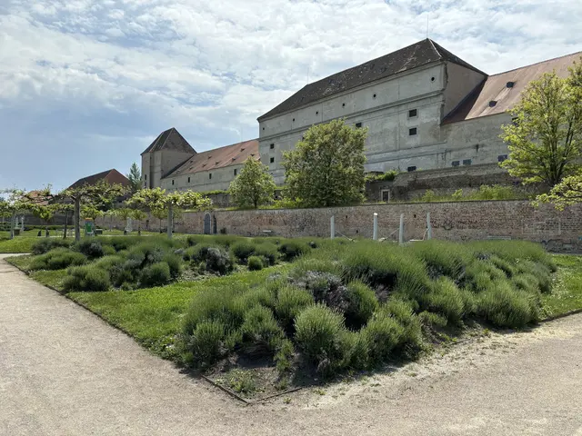 Für das Schloss Neugebäude wurde ein neuer Pächter gefunden.  | Foto: Luca Arztmann/MeinBezirk